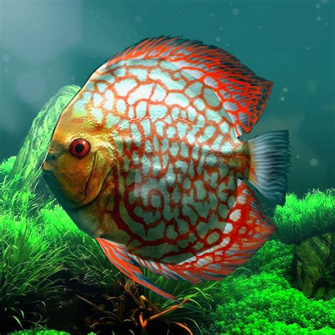 clymenia f95|The Nobleman Retort [Clymenia] F95 Zone.